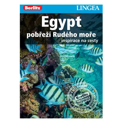 Egypt, pobřeží Rudého moře