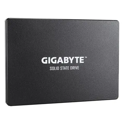 GIGABYTE SSD 1TB GP-GSTFS31100TNTD