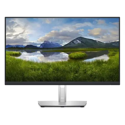 Dell P2423D Stříbrná