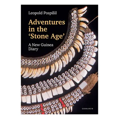 Adventures in the Stone Age