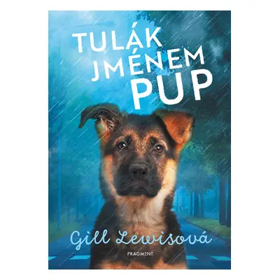 Tulák jménem Pup