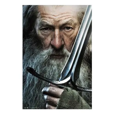 Plakát The Lord of the Rings - Gandalf (180)