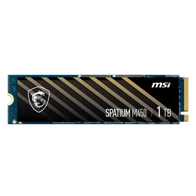 MSI Spatium M450 1TB, S78-440L690-P83