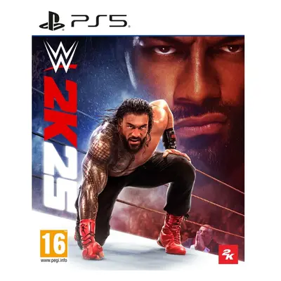 WWE 2K25