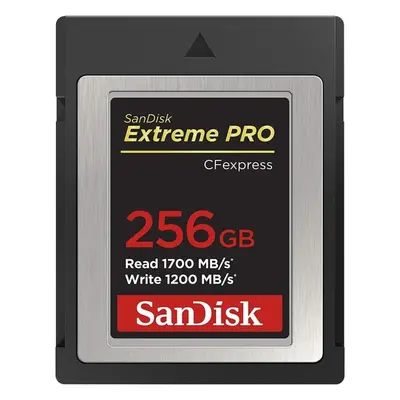 SanDisk SDCFE-256G-GN4NN