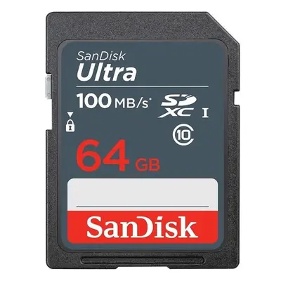 SanDisk SDSDUNR-064G-GN3IN Šedá