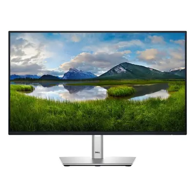 Dell P2425H monitor 24" 210-BMFF Stříbrná