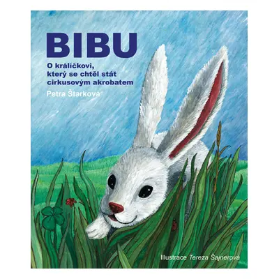 Bibu