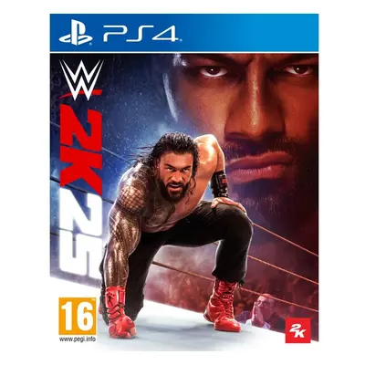 WWE 2K25