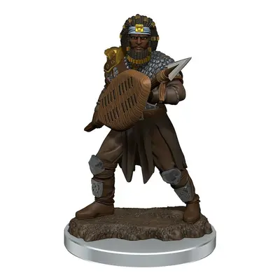 WizKids D&D Icons of the Realms Premium Figures: Male Human Fighter