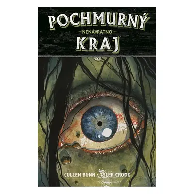 Comics Centrum Pochmurný kraj 8: Nenávratno