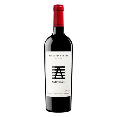 Acordeón Malbec