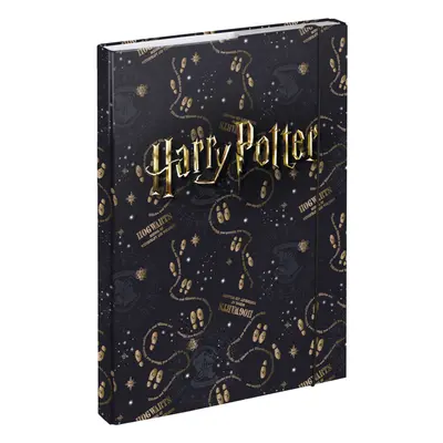 Desky na školní sešity A4 Harry Potter Pobertův plánek