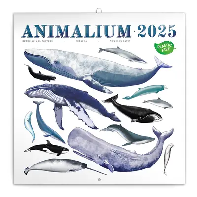 Poznámkový kalendář Animalium 2025, 30 × 30 cm