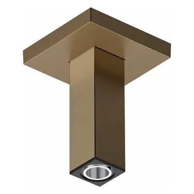 Hansgrohe Příslušenství - Sprchové rameno stropní, 11 cm, kartáčovaný bronz 24338140