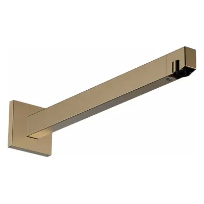 Hansgrohe Příslušenství - Sprchové rameno, 41 cm, kartáčovaný bronz 24337140