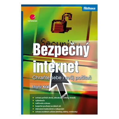 E-kniha: Bezpečný internet od Král Mojmír