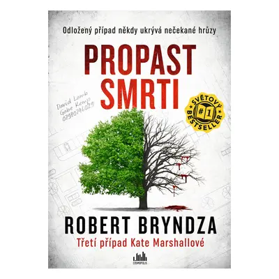 Kniha: Propast smrti od Bryndza Robert