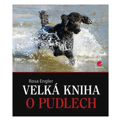 E-kniha: Velká kniha o pudlech od Engler Rosa