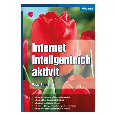 E-kniha: Internet inteligentních aktivit od Burian Pavel