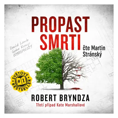 Kniha: Propast smrti od Bryndza Robert