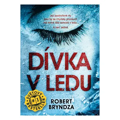 E-kniha: Dívka v ledu od Bryndza Robert