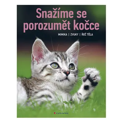 Kniha: Snažíme se porozumět kočce od Rauth-Widmann Brigitte