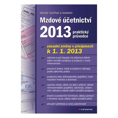 E-kniha: Mzdové účetnictví 2013 od Vybíhal Václav