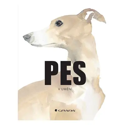 Kniha: Pes v umění od