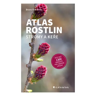 Kniha: Atlas rostlin - Stromy a keře od Kremer P. Bruno