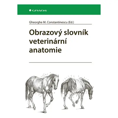 Kniha: Obrazový slovník veterinární anatomie od Constantinescu M. Gheorghe