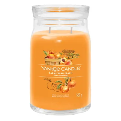 Yankee Candle Aromatická svíčka Signature sklo velké Farm Fresh Peach 567 g