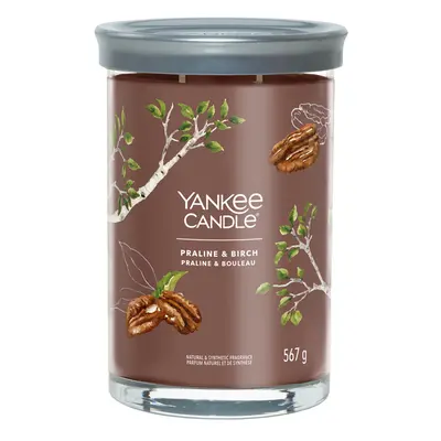 Yankee Candle Aromatická svíčka Signature tumbler velký Praline & Birch 567 g