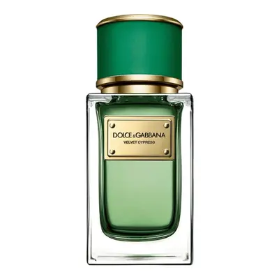 Dolce & Gabbana Velvet Cypress - EDP 50 ml