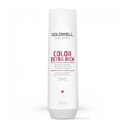 Goldwell Šampon pro extra péči o barvené vlasy Dualsenses Color Extra Rich (Brilliance Shampoo) 