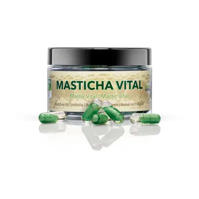 Mastic Life Masticha Vital Double Action 60 kapslí