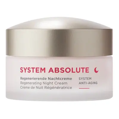 ANNEMARIE BORLIND Noční krém SYSTEM ABSOLUTE System Anti-Aging (Regenerating Night Cream) 50 ml