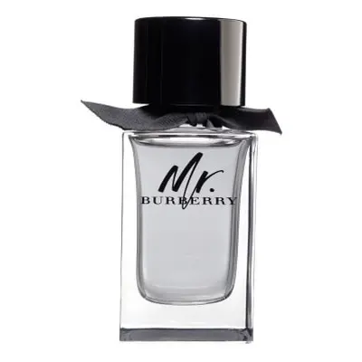 Burberry Mr. Burberry - EDT 150 ml