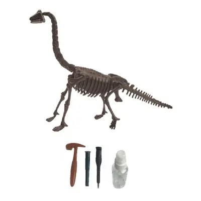 Archeologický set – Brachiosaurus