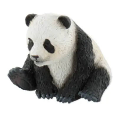 Panda mládě