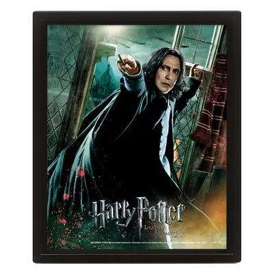 3D obraz Harry Potter Snape