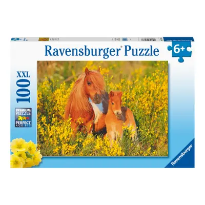 Puzzle Shetladnský poník 100 dílků