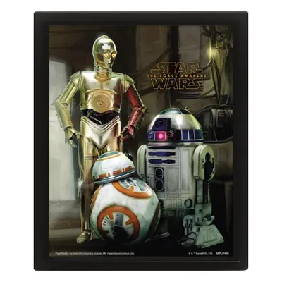 3D obraz Star Wars (Droids)