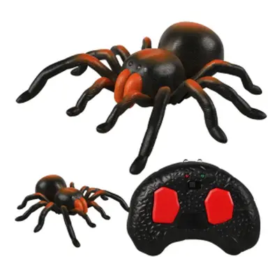 RC Tarantule