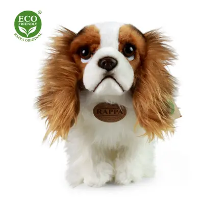 Plyšový king charles spaniel 25 cm