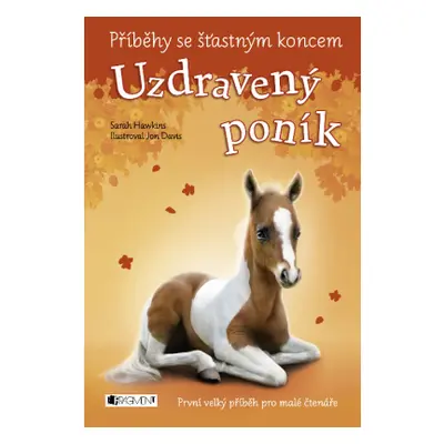 Příběhy se šťastným koncem - Uzdravený poník