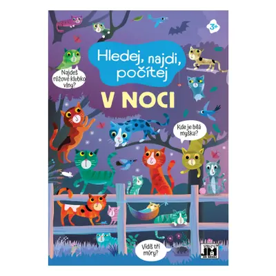 Hledej, najdi, počítej/ V noci