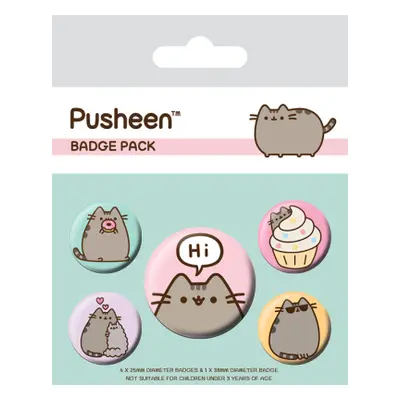 Sed odznaků Pusheen Hi