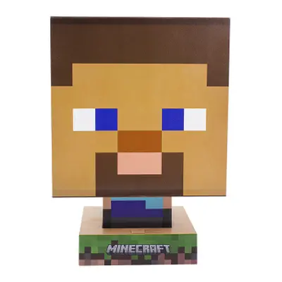 Minecraft Steve Icon Lamp