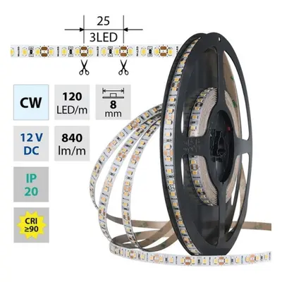 LED pásek McLED 12V studená bílá CRI90 š=8mm IP20 9,6W/m 120LED/m SMD2835 ML-121.838.60.2